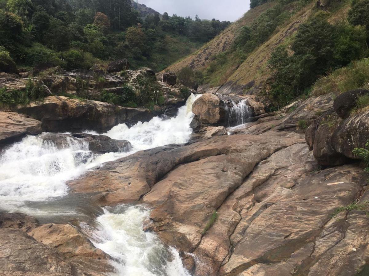 Greenpepperhomestay Munnar Anaviratty Exteriör bild