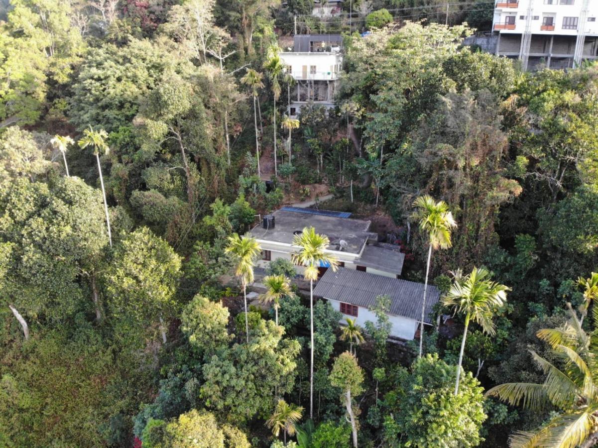 Greenpepperhomestay Munnar Anaviratty Exteriör bild